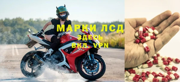 винт Алзамай