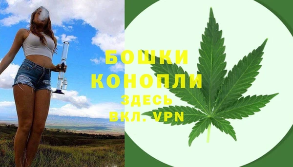 винт Алзамай