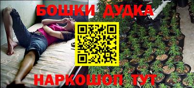 прущие грибы Волжский