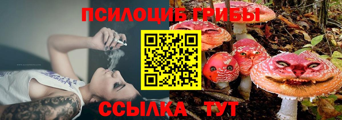 Киров  Галлюциногенные грибы мицелий  Вход с VPN 